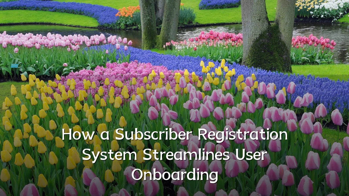 How a Subscriber Registration System Streamlines User Onboarding