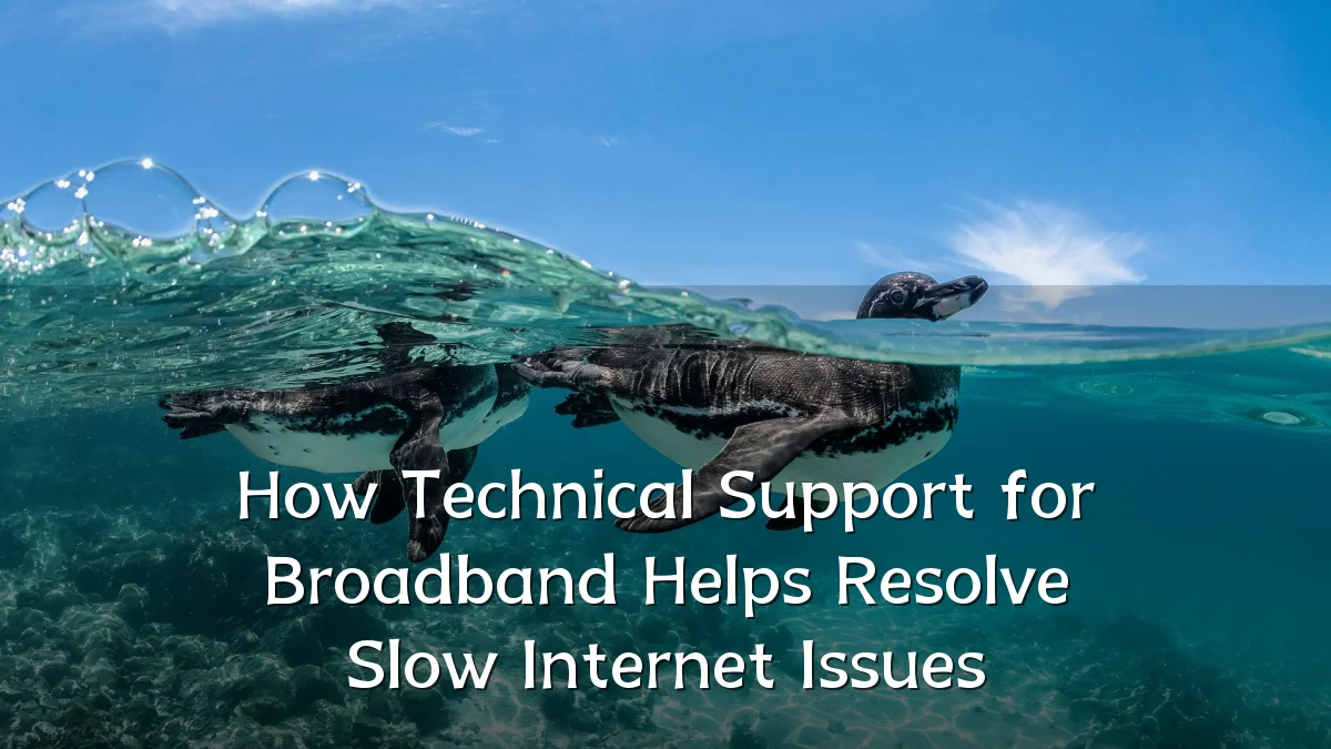 How Technical Support for Broadband Helps Resolve Slow Internet Issues