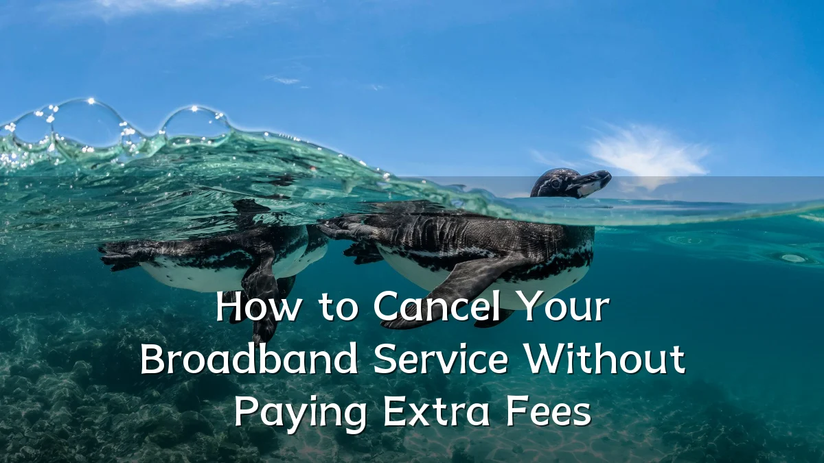 How to Cancel Your Broadband Service Without Paying Extra Fees