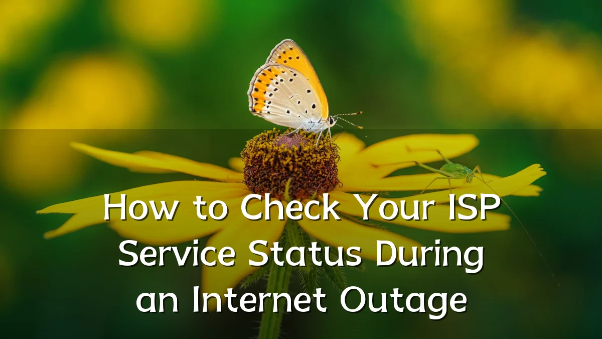 How to Check Your ISP Service Status During an Internet Outage