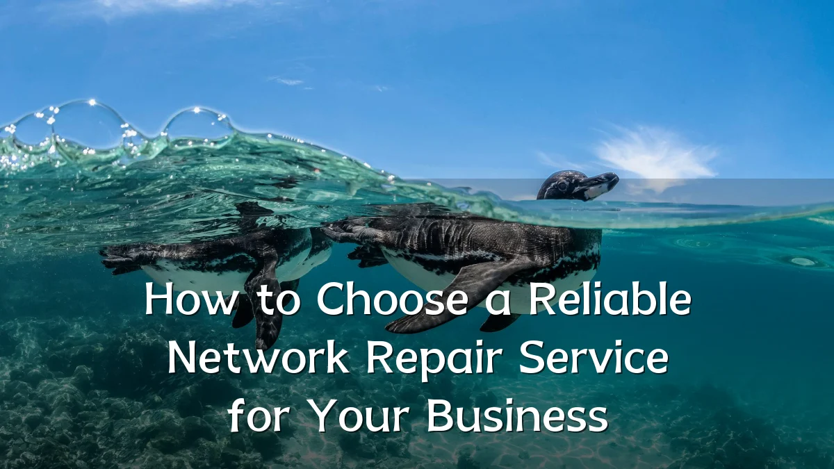 How to Choose a Reliable Network Repair Service for Your Business