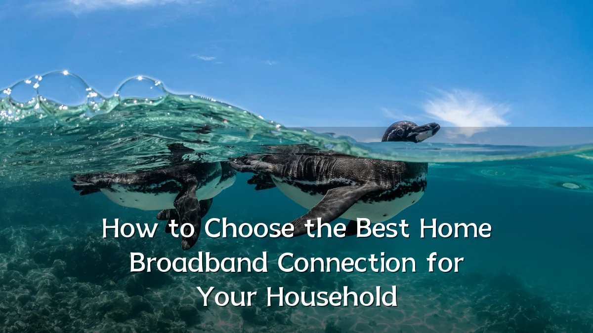 How to Choose the Best Home Broadband Connection for Your Household