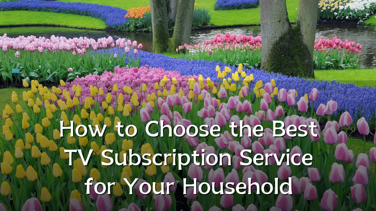 How to Choose the Best TV Subscription Service for Your Household