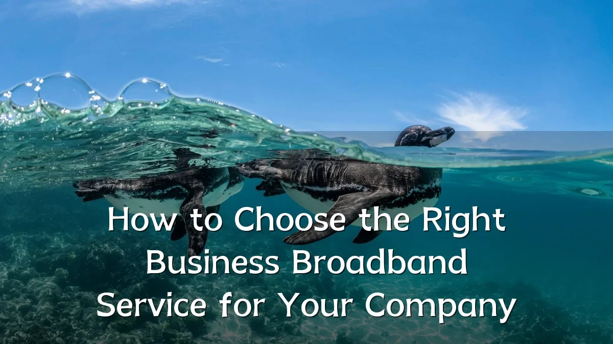 How to Choose the Right Business Broadband Service for Your Company