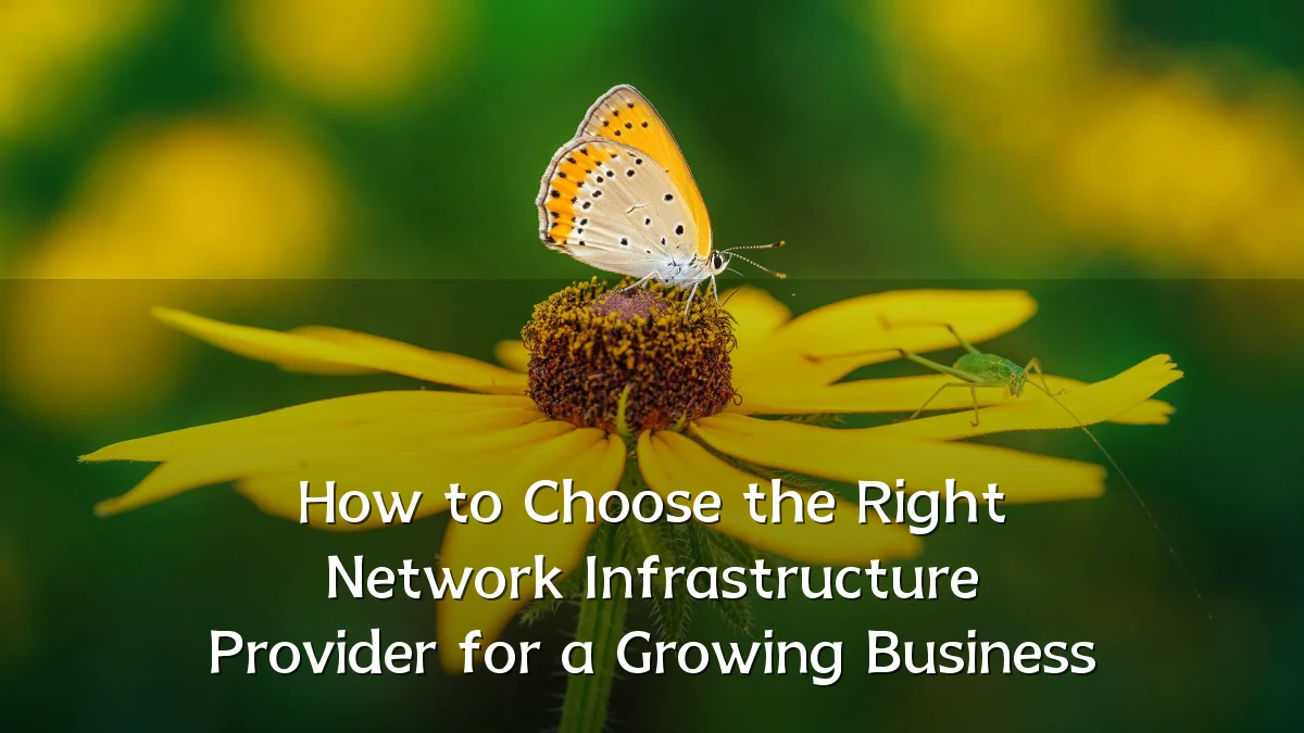 How to Choose the Right Network Infrastructure Provider for a Growing Business