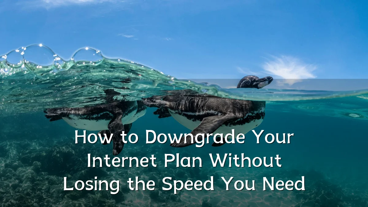 How to Downgrade Your Internet Plan Without Losing the Speed You Need