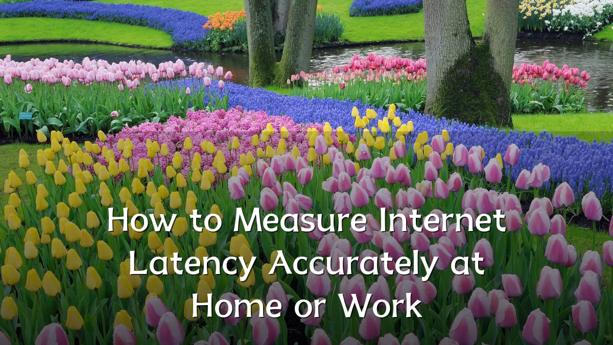 How to Measure Internet Latency Accurately at Home or Work