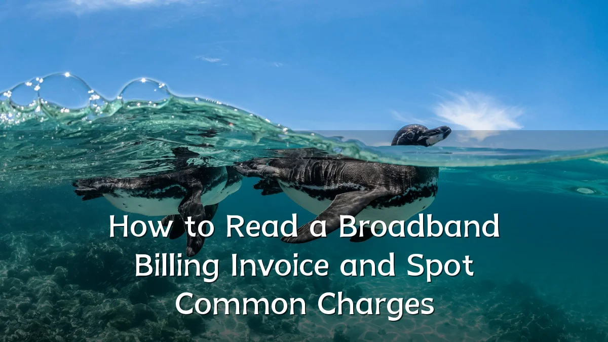 How to Read a Broadband Billing Invoice and Spot Common Charges