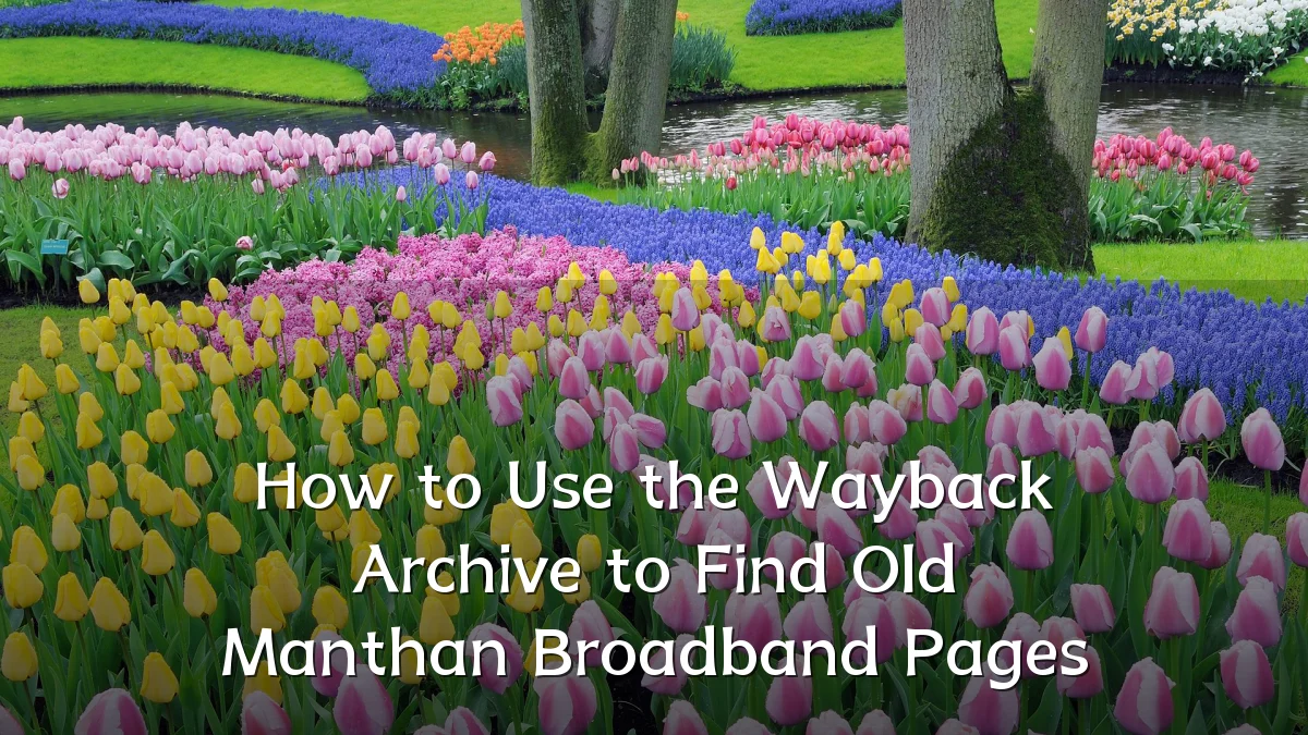 How to Use the Wayback Archive to Find Old Manthan Broadband Pages