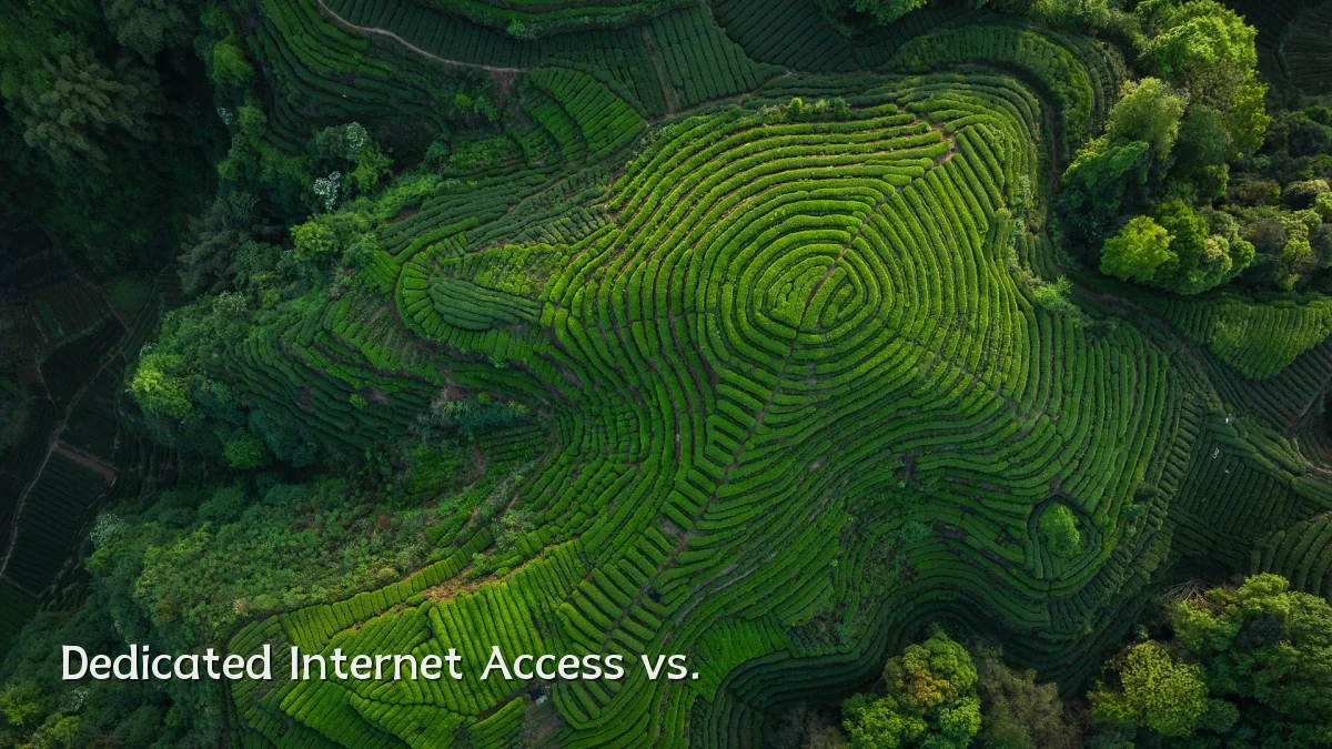 Dedicated Internet Access vs.
