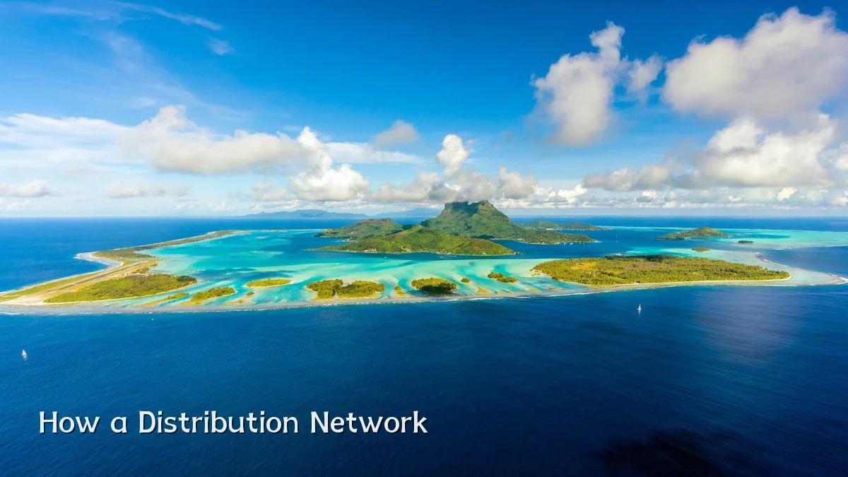 How a Distribution Network