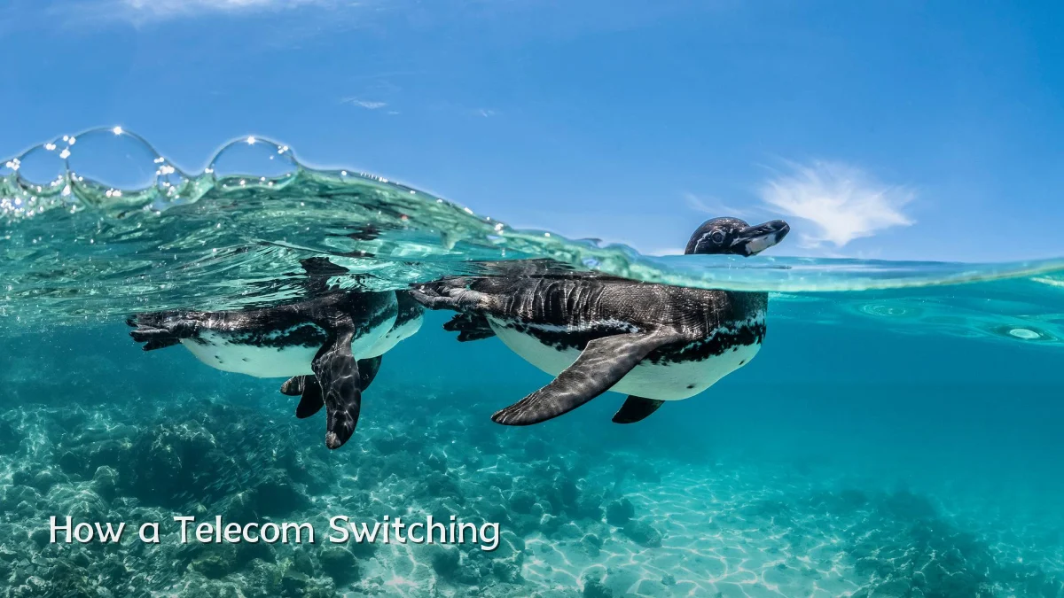 How a Telecom Switching