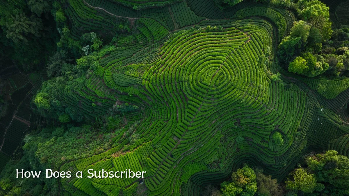 How Does a Subscriber