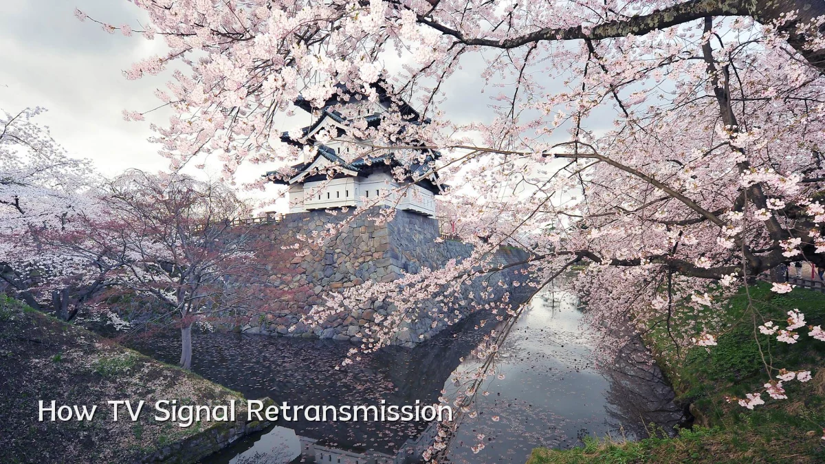 How TV Signal Retransmission