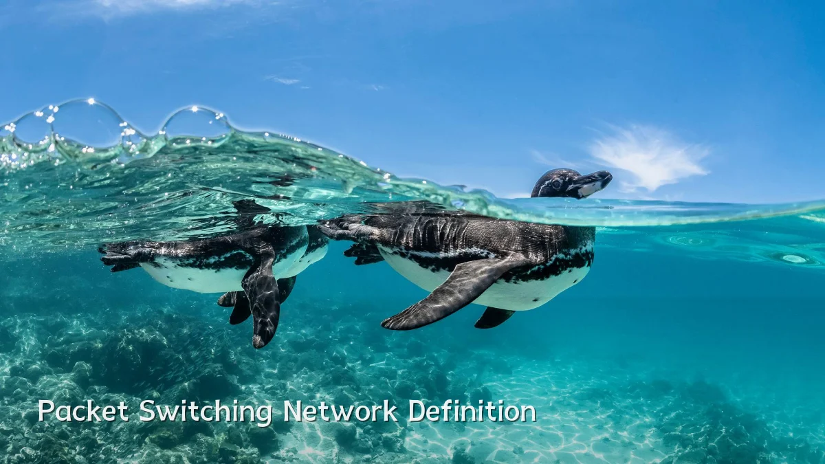 Packet Switching Network Definition
