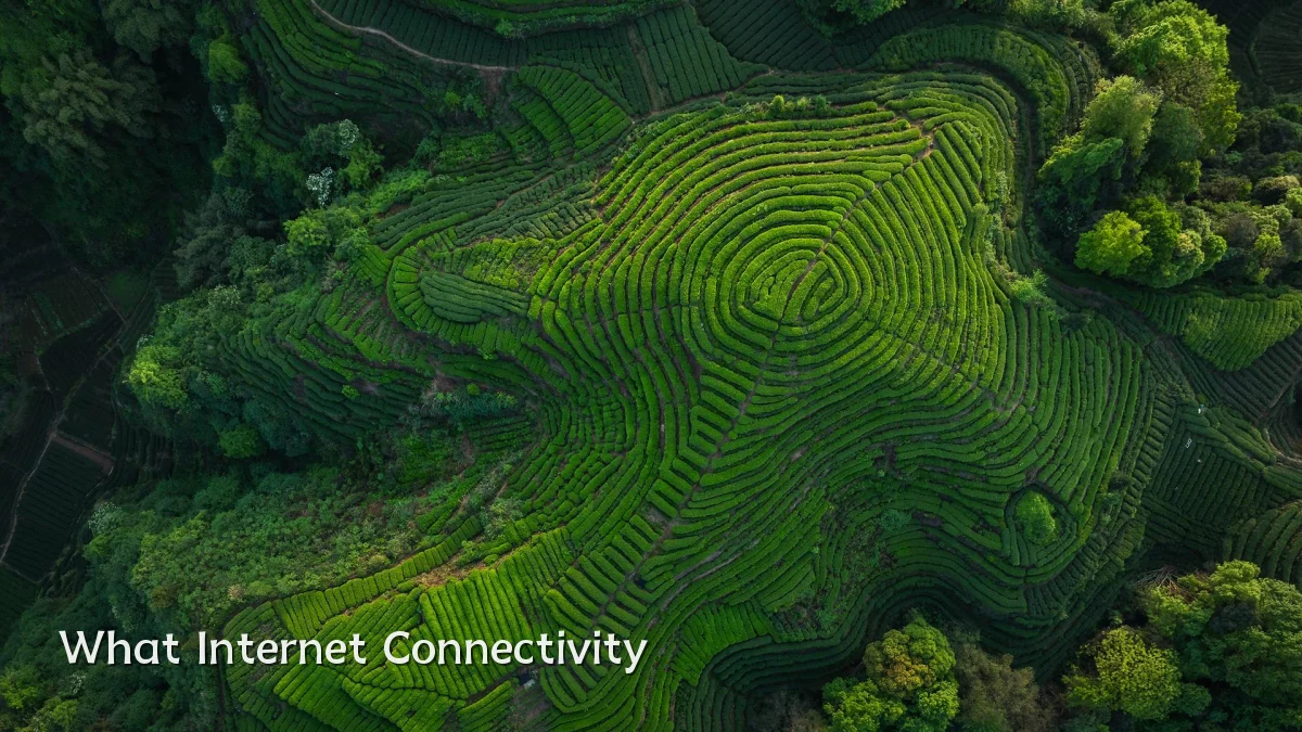 What Internet Connectivity