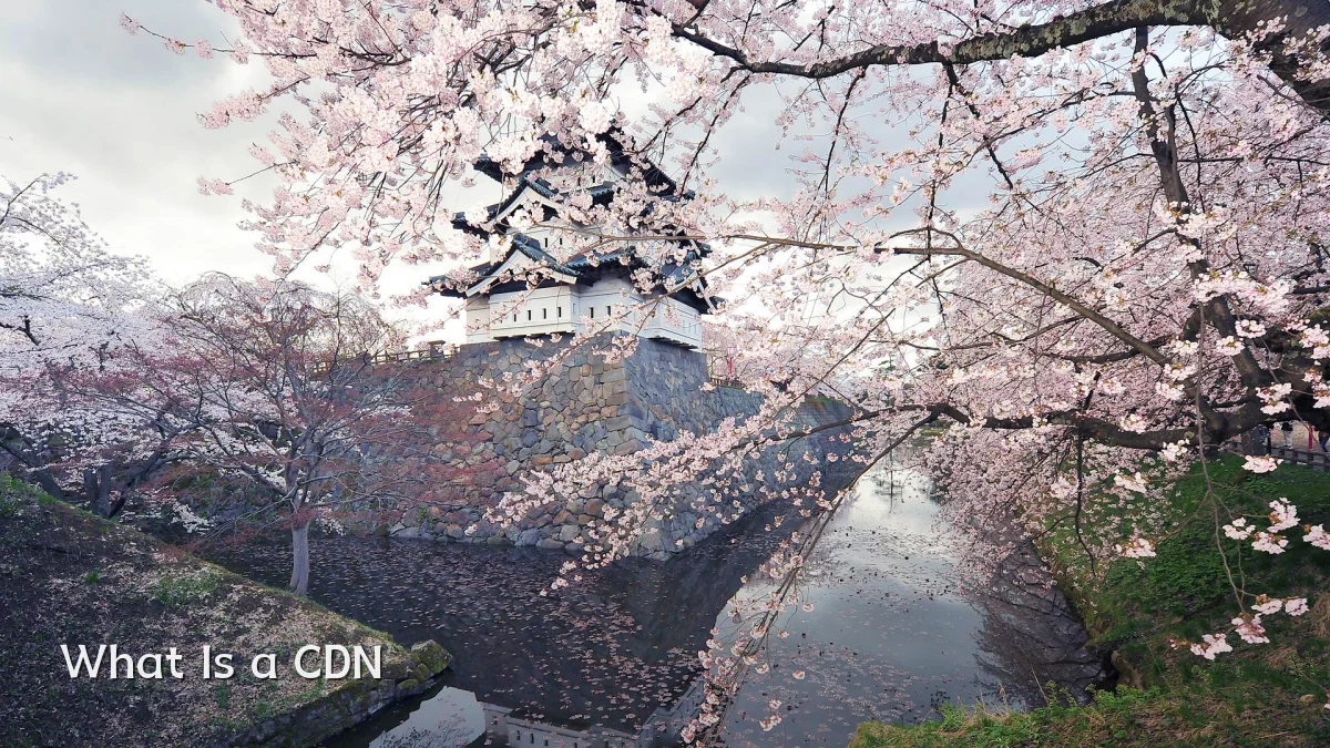 What Is a CDN
