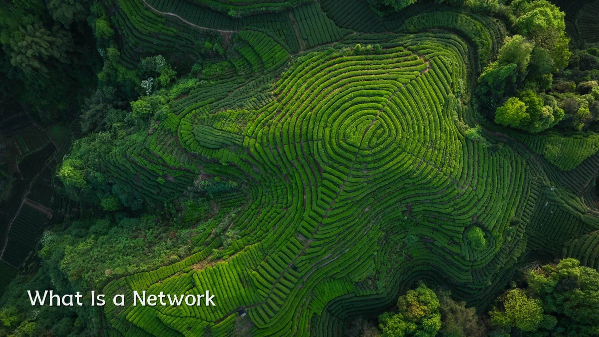 What Is a Network