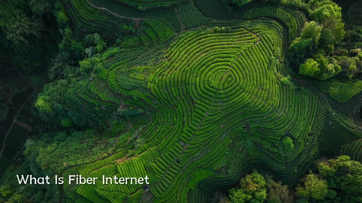 What Is Fiber Internet