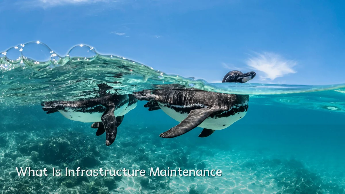 What Is Infrastructure Maintenance