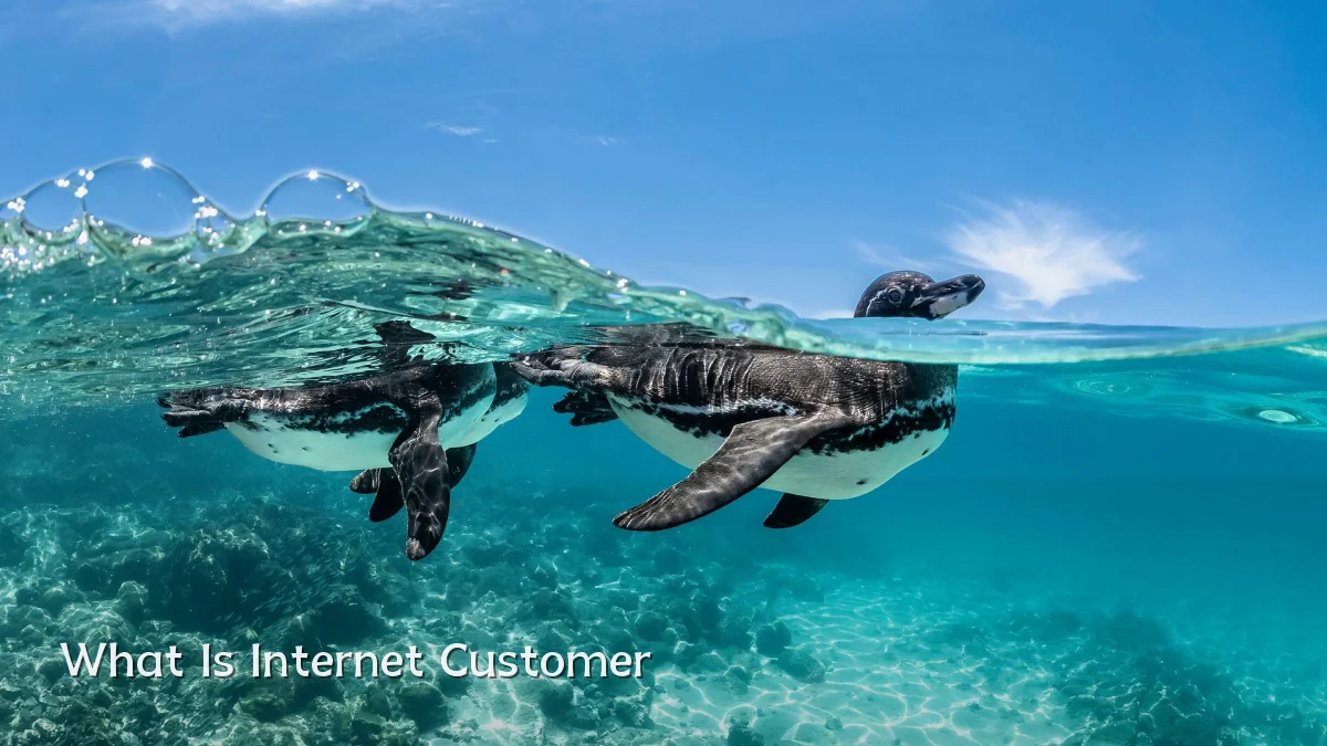 What Is Internet Customer