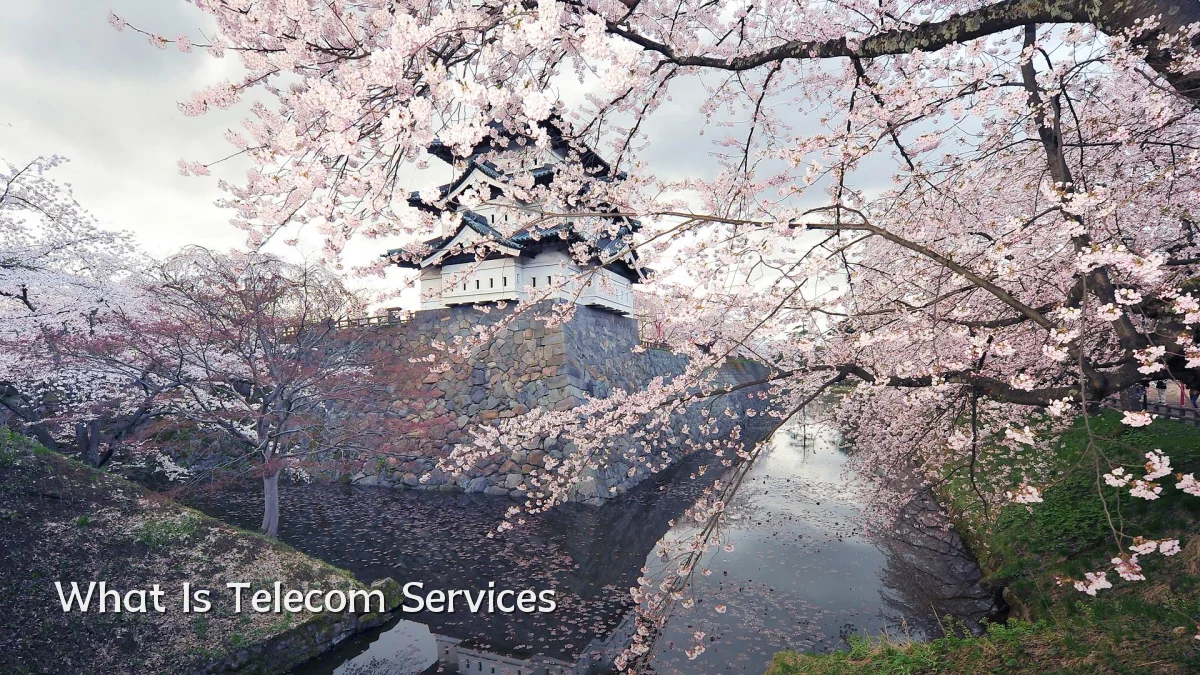 What Is Telecom Services