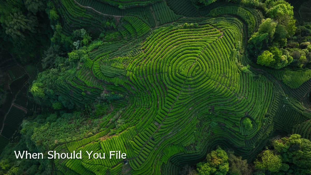 When Should You File