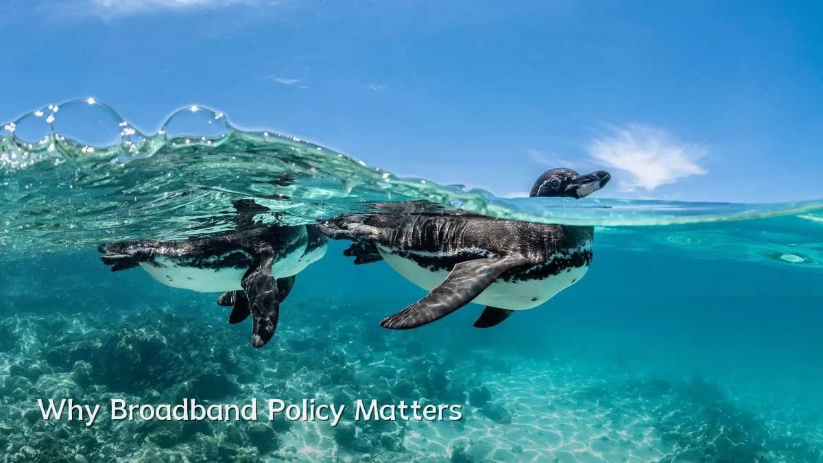 Why Broadband Policy Matters