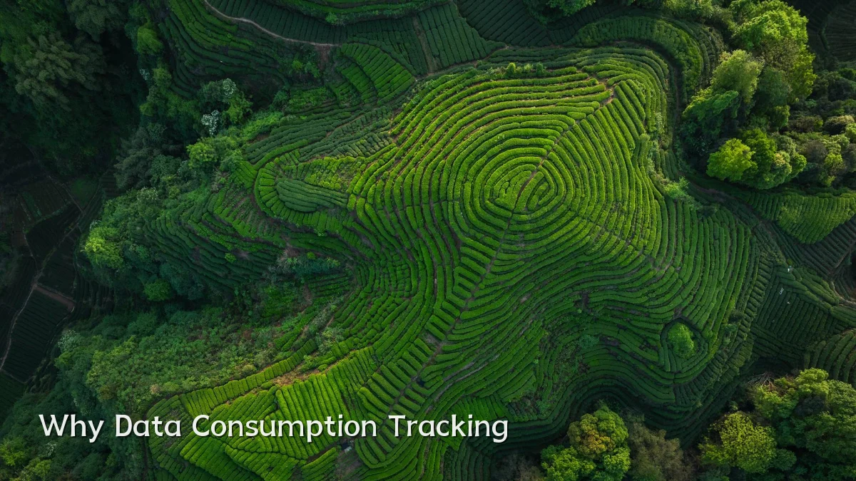 Why Data Consumption Tracking