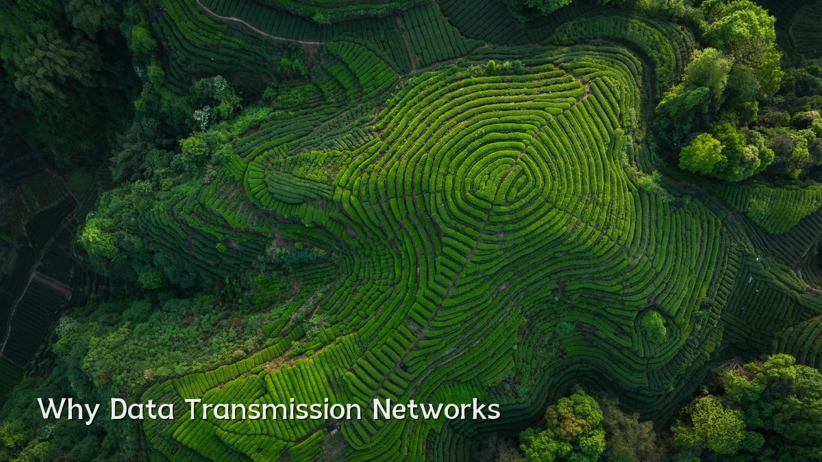 Why Data Transmission Networks