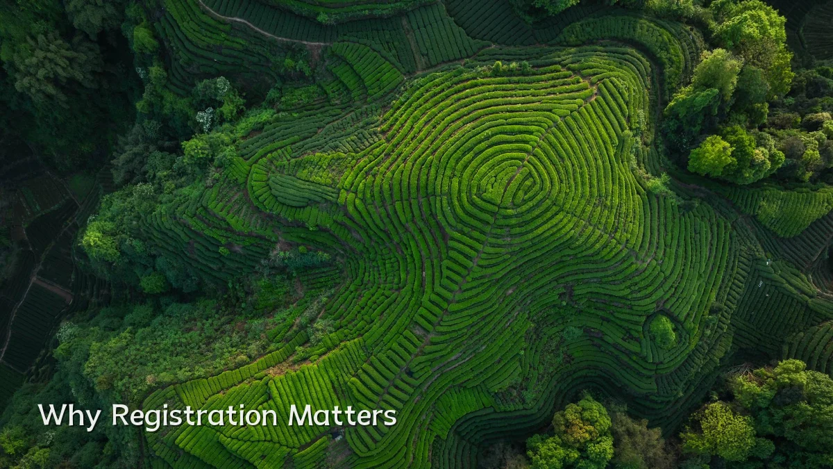 Why Registration Matters