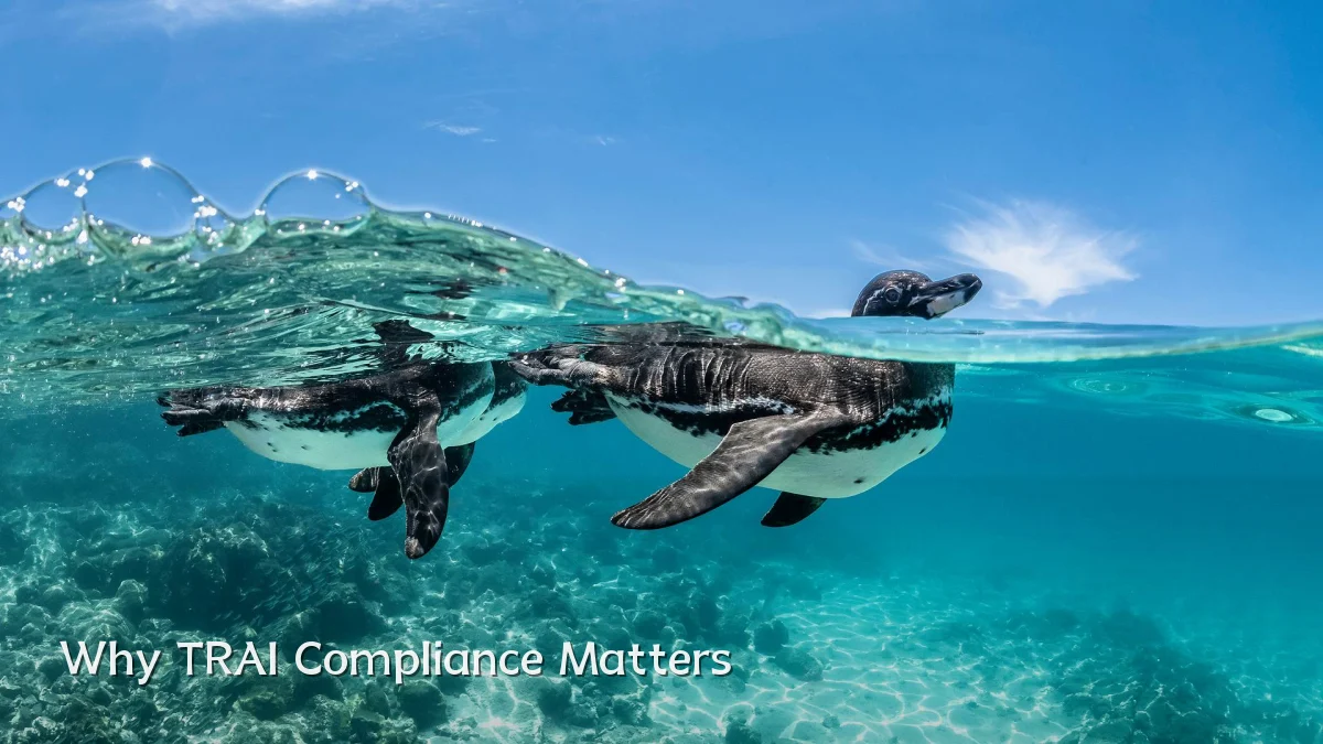 Why TRAI Compliance Matters