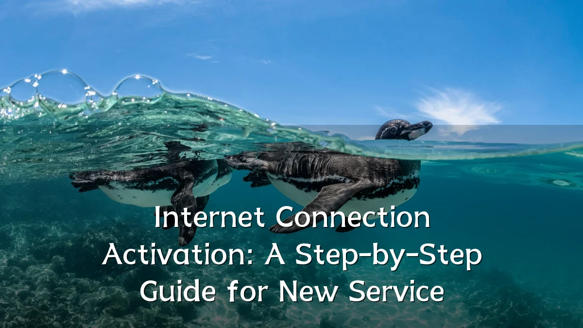 Internet Connection Activation: A Step-by-Step Guide for New Service