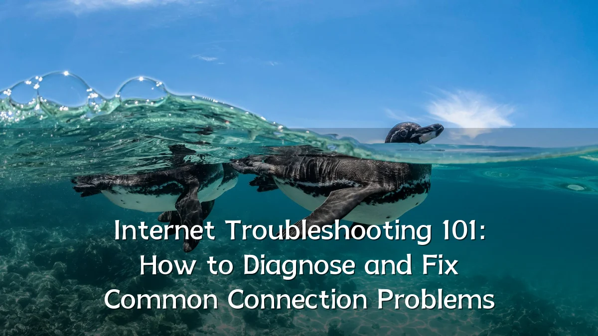 Internet Troubleshooting 101: How to Diagnose and Fix Common Connection Problems