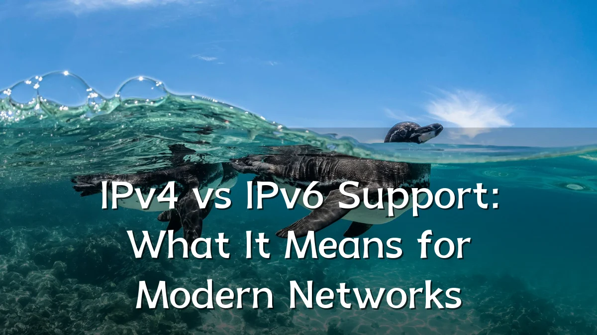IPv4 vs IPv6 Support: What It Means for Modern Networks