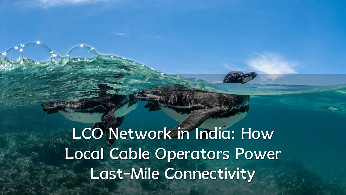 LCO Network in India: How Local Cable Operators Power Last-Mile Connectivity