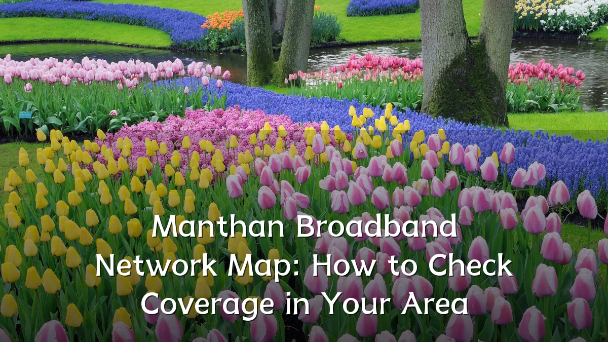 Manthan Broadband Network Map: How to Check Coverage in Your Area