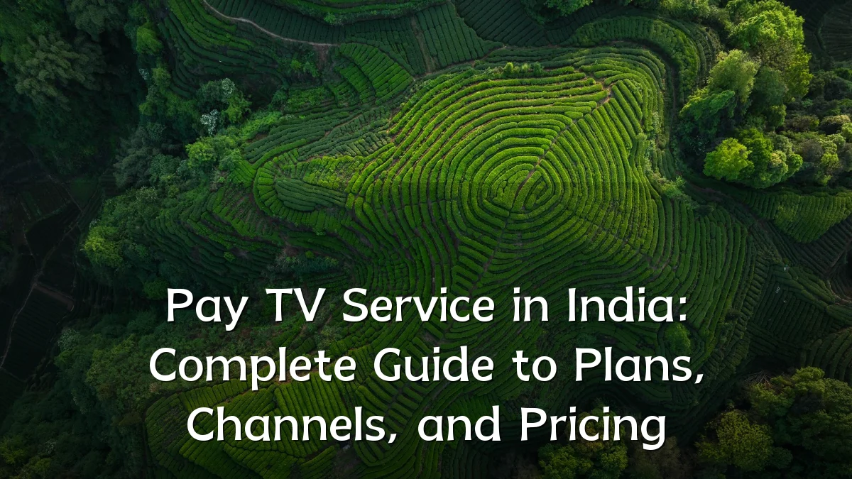 Pay TV Service in India: Complete Guide to Plans, Channels, and Pricing
