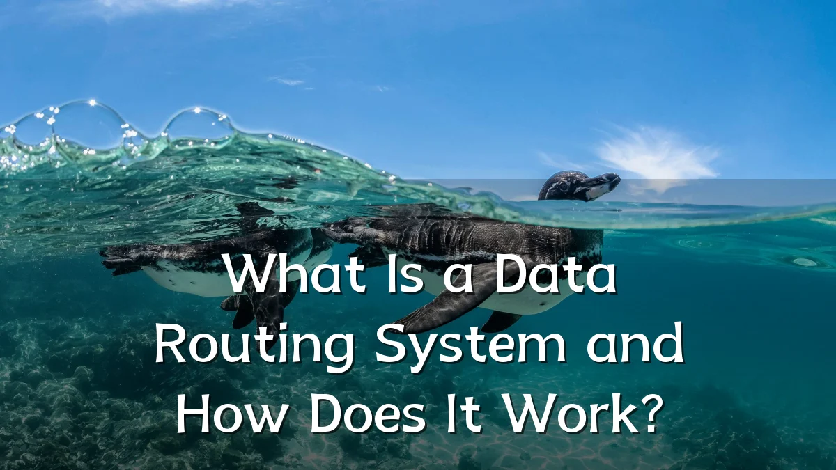 What Is a Data Routing System and How Does It Work?
