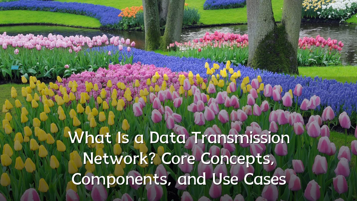 What Is a Data Transmission Network? Core Concepts, Components, and Use Cases