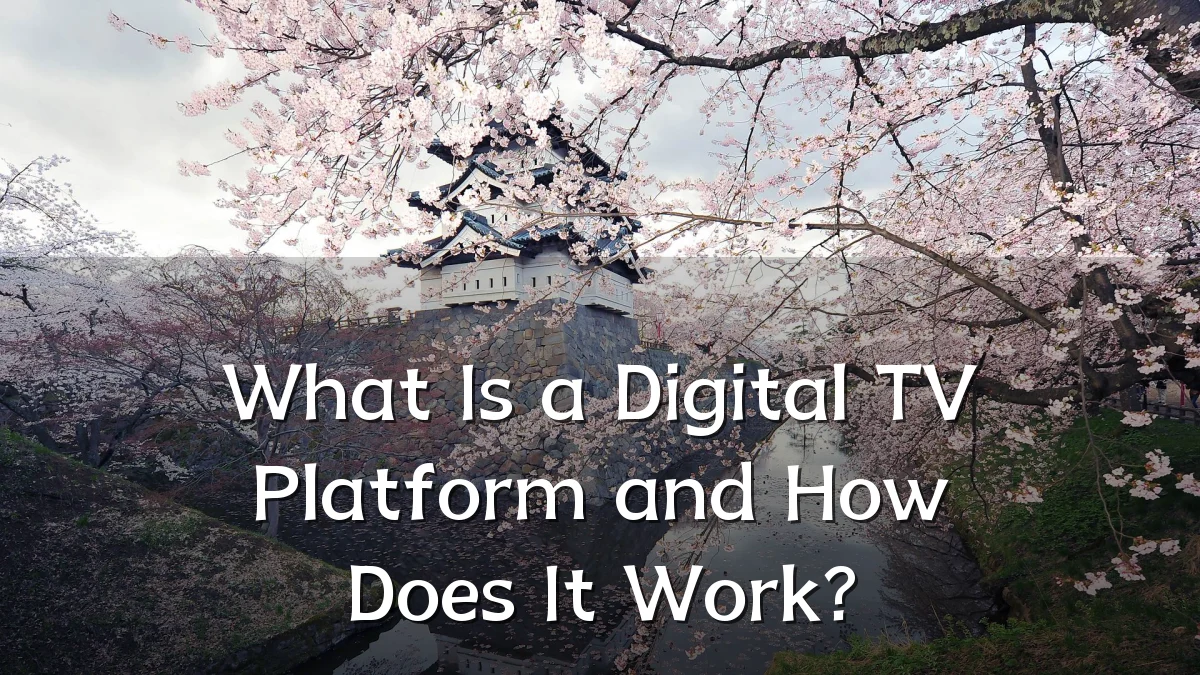 What Is a Digital TV Platform and How Does It Work?
