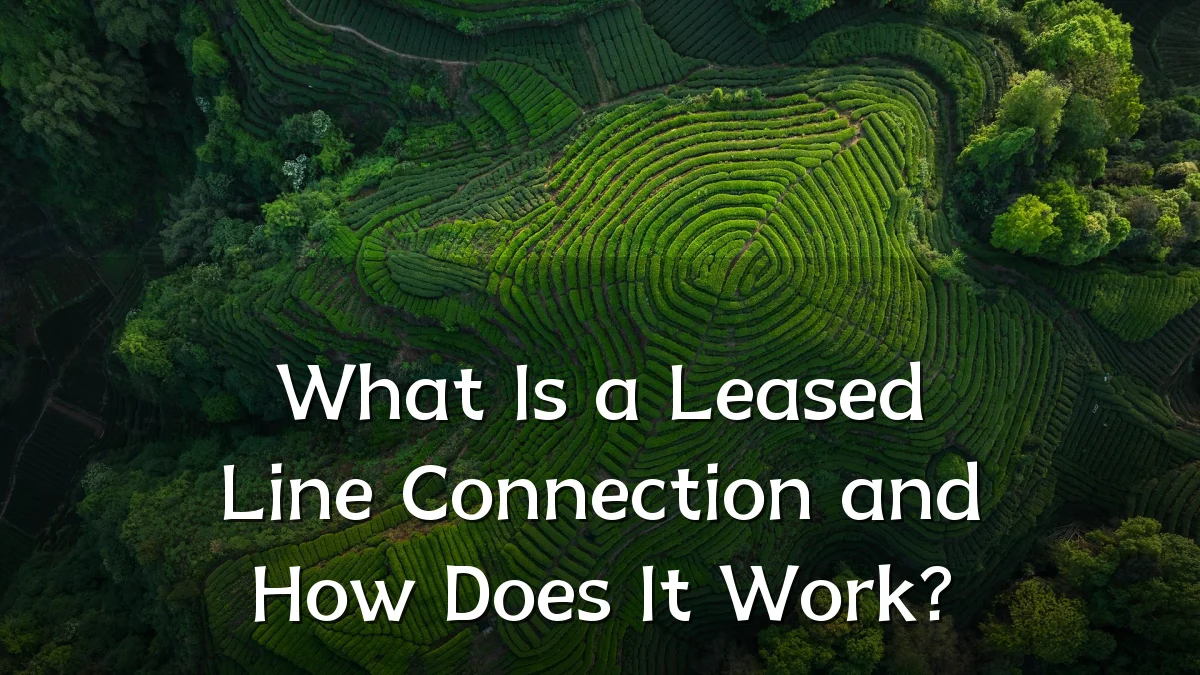 What Is a Leased Line Connection and How Does It Work?