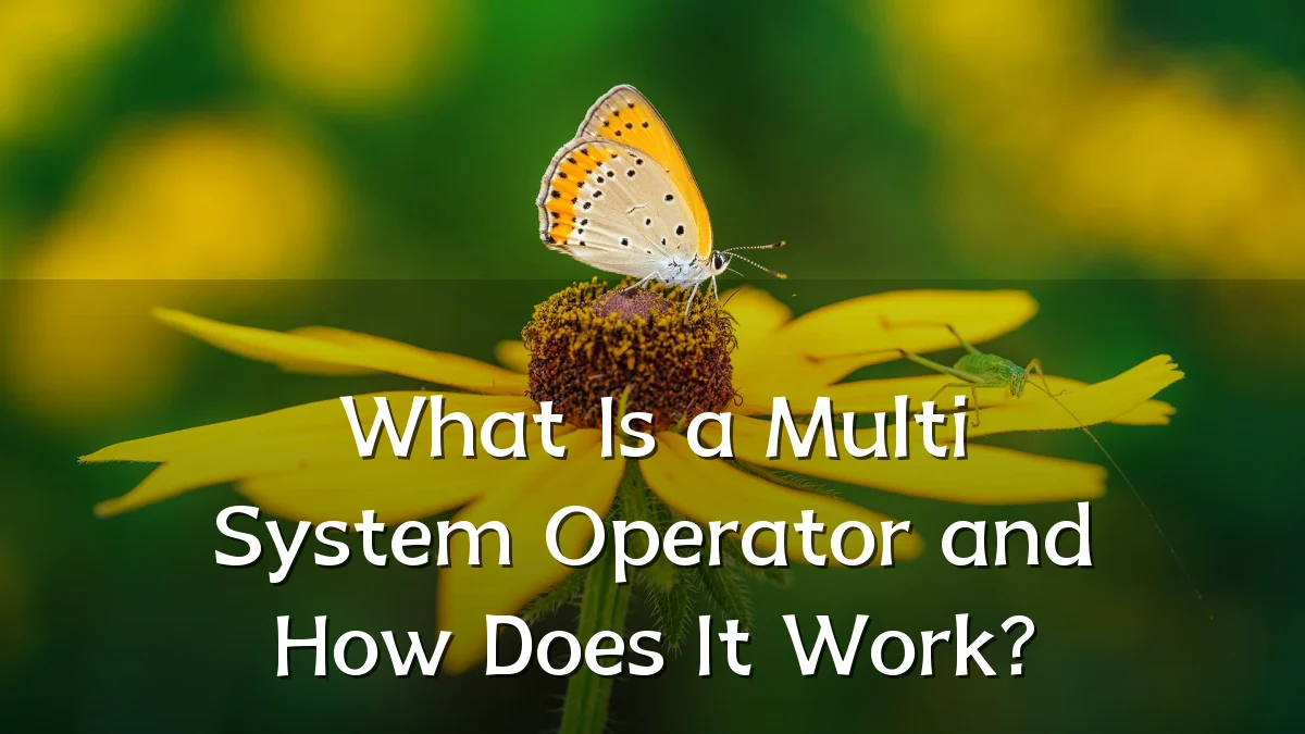What Is a Multi System Operator and How Does It Work?