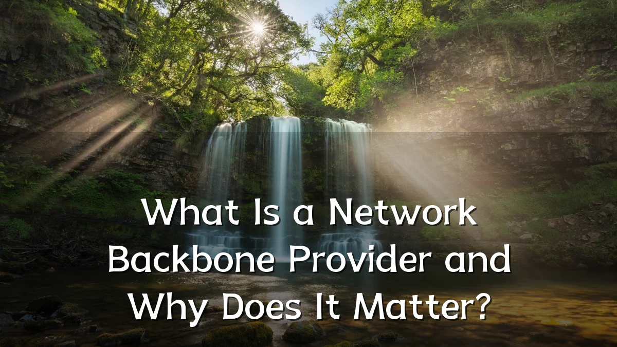 What Is a Network Backbone Provider and Why Does It Matter?