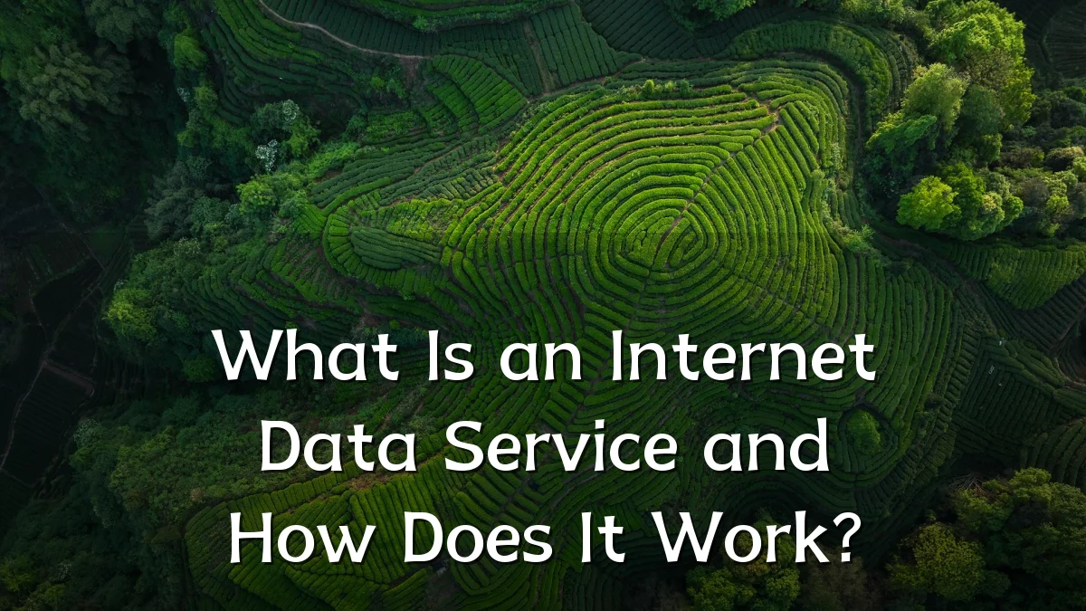 What Is an Internet Data Service and How Does It Work?