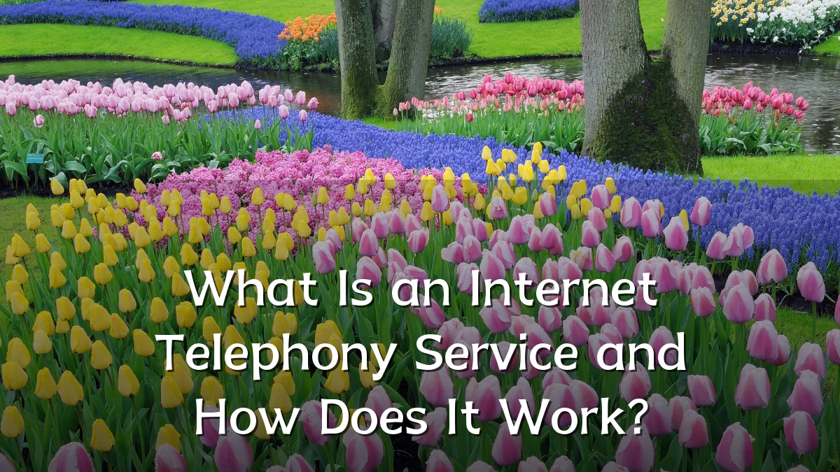 What Is an Internet Telephony Service and How Does It Work?