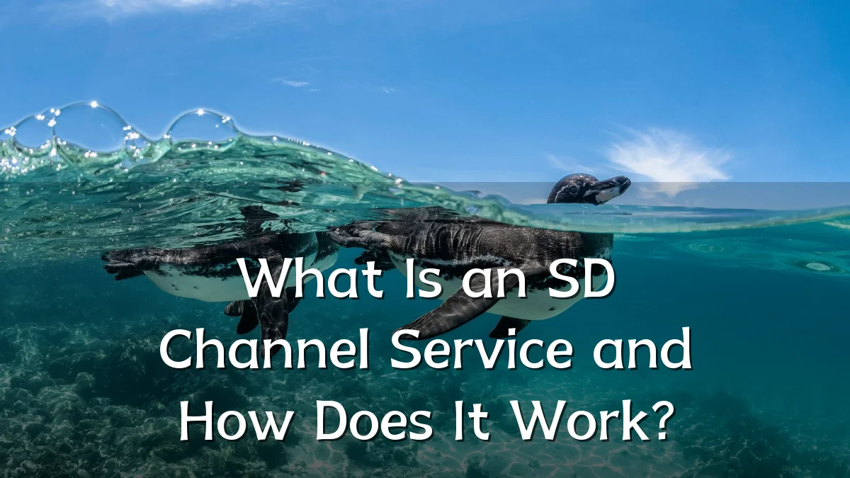 What Is an SD Channel Service and How Does It Work?