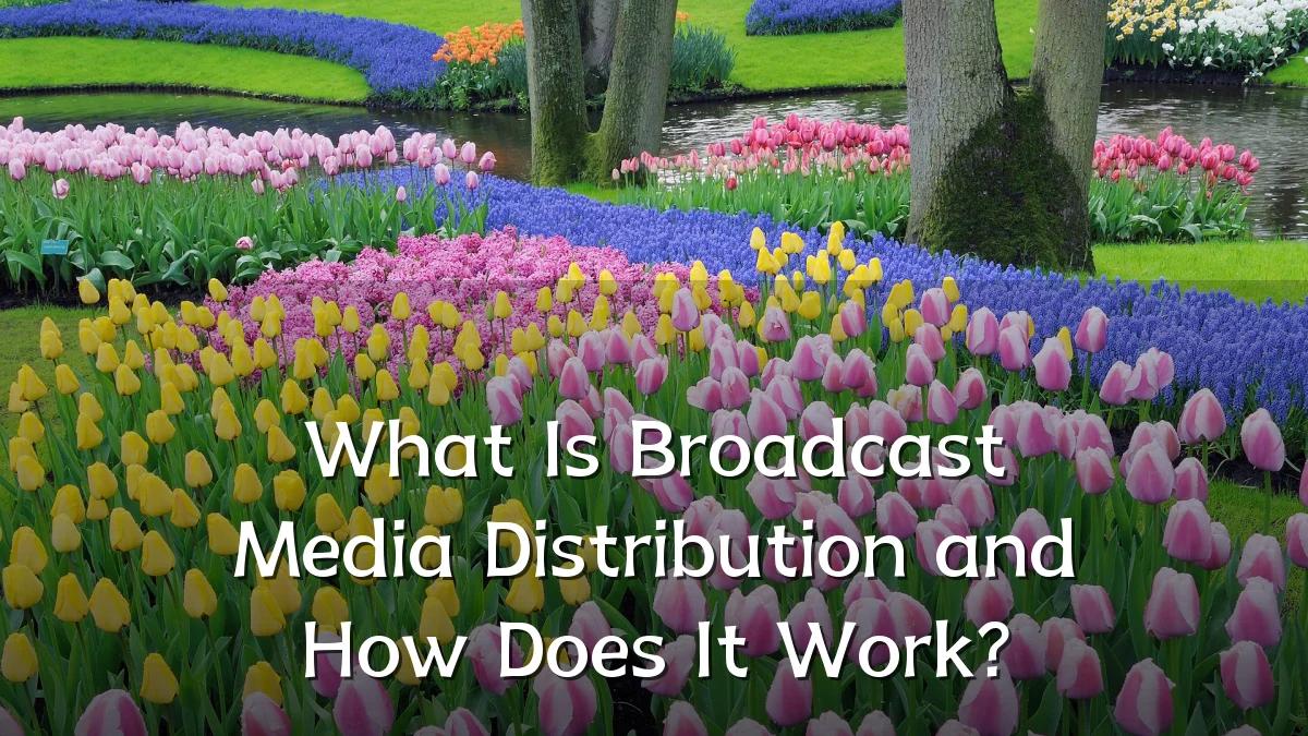 What Is Broadcast Media Distribution and How Does It Work?