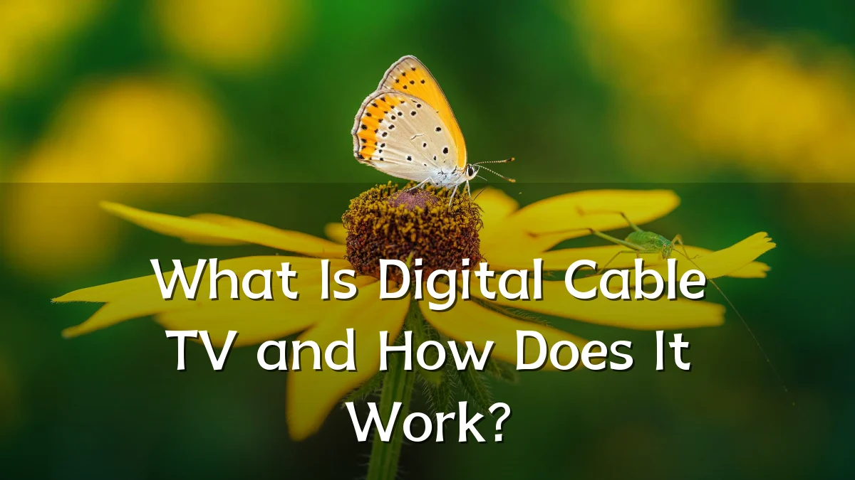 What Is Digital Cable TV and How Does It Work?
