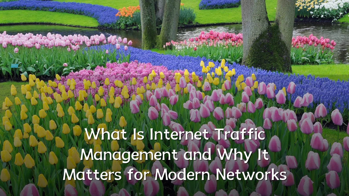 What Is Internet Traffic Management and Why It Matters for Modern Networks